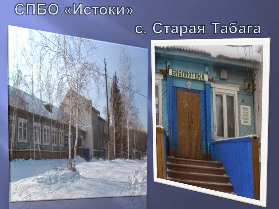 Стационарный пункт библиотечного обслуживания «Истоки»