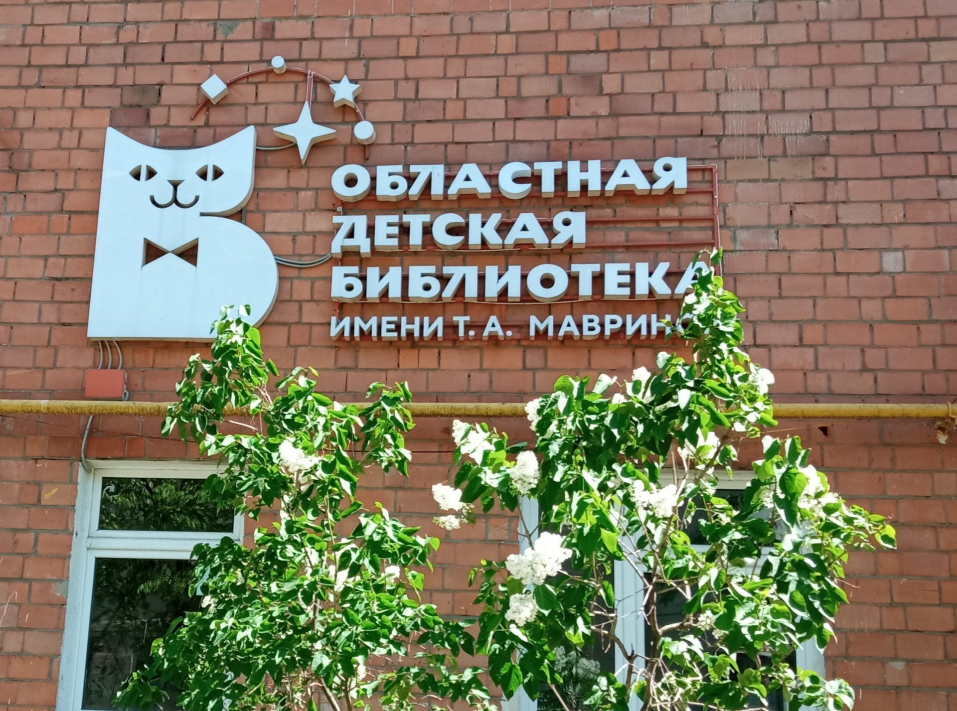 Нижегородская государственная областная детская библиотека имени Т.А. Мавриной